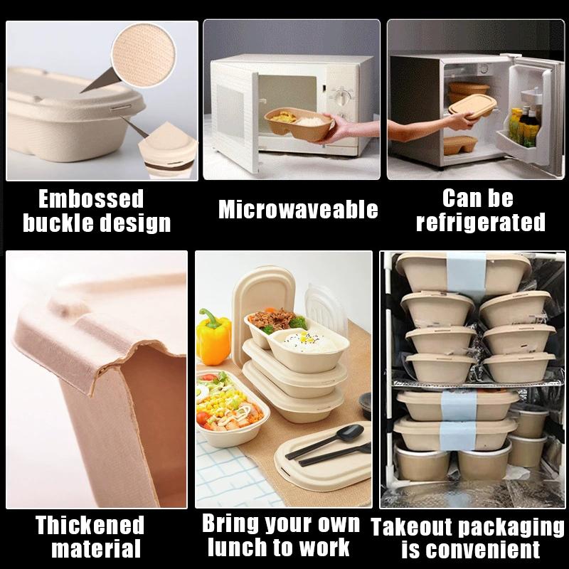 10/50 Stück Ovale Zuckerrohr Bagasse Boxen Umweltfreundliche Biologisch Abbaubare Lebensmittelbehälter mit PET-Deckel