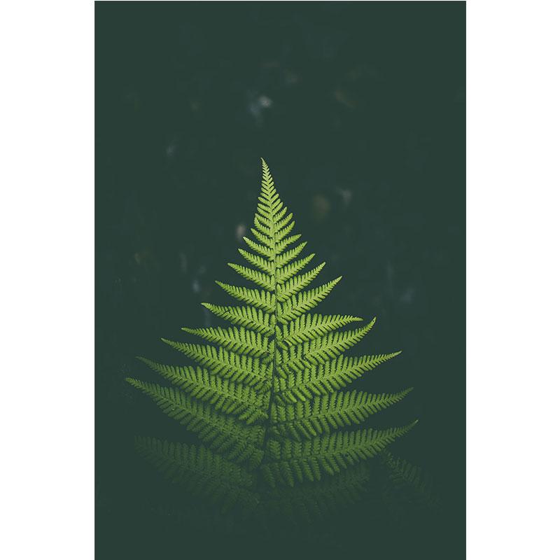 Modern Nature Canvas Painting Green Leaves Paintings Plant Pictures Tree Posters Prints for Living Room Decor Cuadros Wall Art