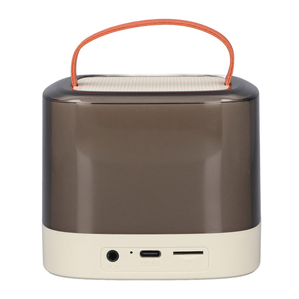 Mini Karaoke Machine Long Battery Life Wireless Portable Bluetooth Speaker with Microphone for Kids