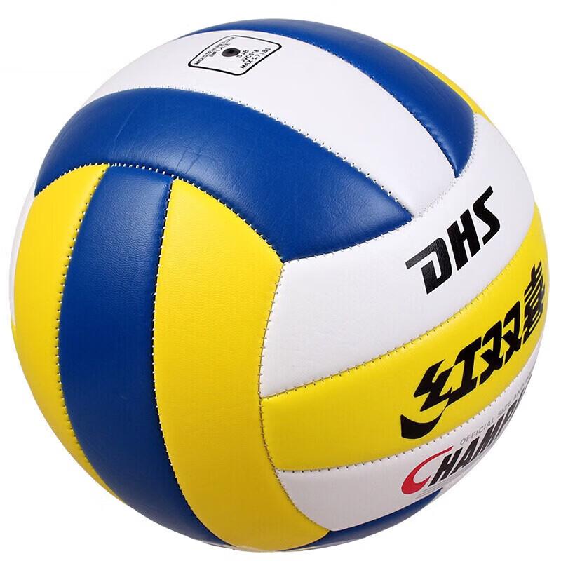 DHS Size 5 Soft Training & Competition Volleyball