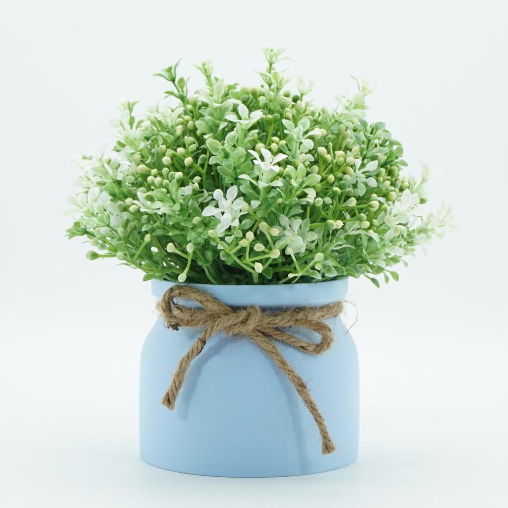 Simulated Orchid Bean Small Bonsai Artificial Flower Decorations Creative Living Room Tabletop Green Plants Home Decorations