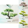 Atemberaubende Bonsai-Simulation Künstlicher Kiefern-Topfbaum für Heim- und Bürodekoration
