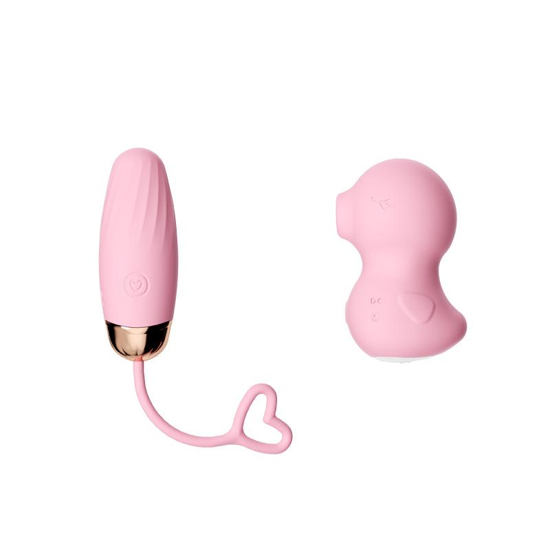 Luxury Vibrator & Insertable Toy Set for Women - Two-Piece Adult Pleasure Kit