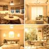 ORALUCE LED Bulbs, E26 Base, 9W, 900lm, 60W Equivalent, High Brightness, Warm White, 3000K, Wide Beam Distribution, High Color Rendering, Energy