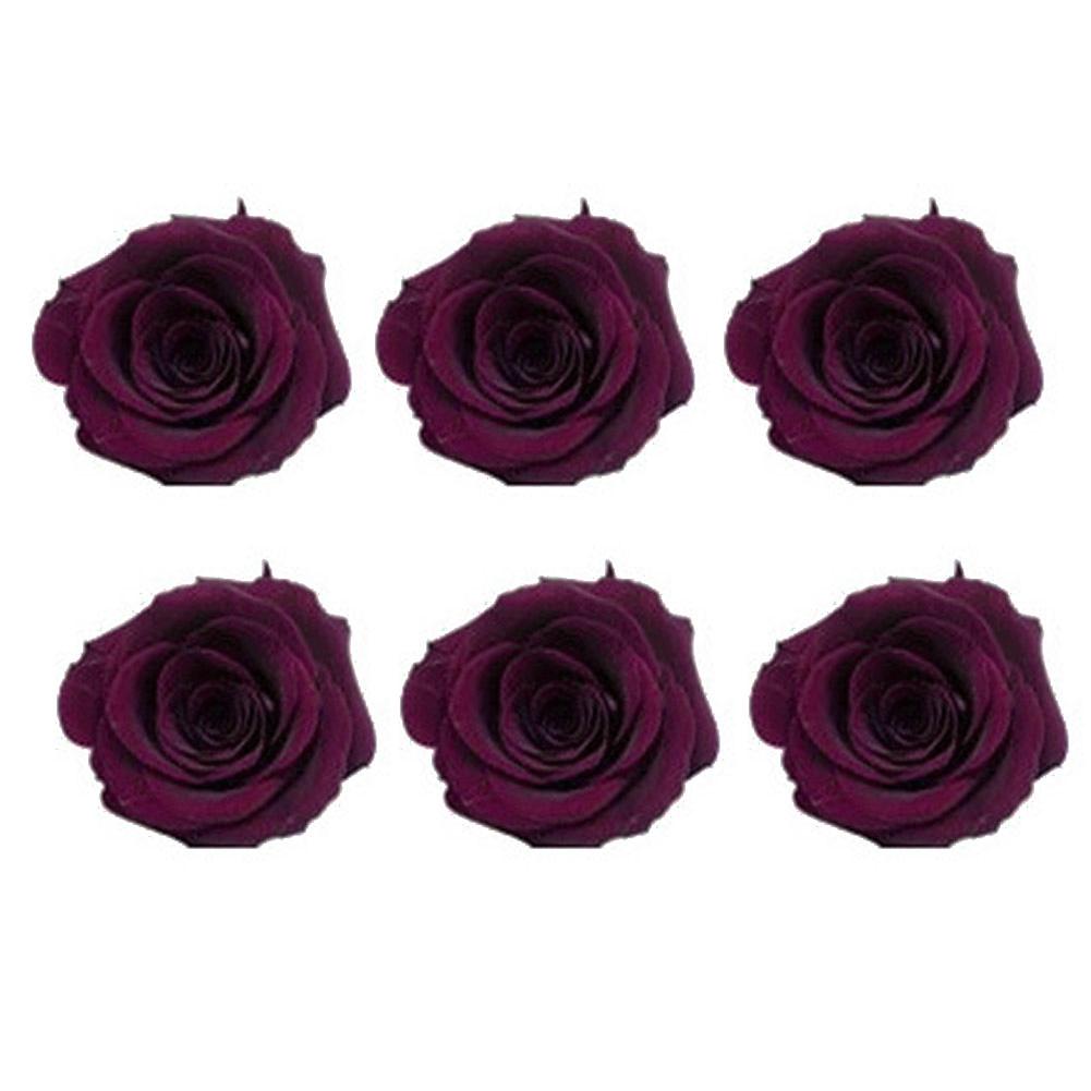 6 ks/škatuľka 5-6 cm zachovalý kvet nesmrteľná ruža DIY valentínsky darček k svadbe