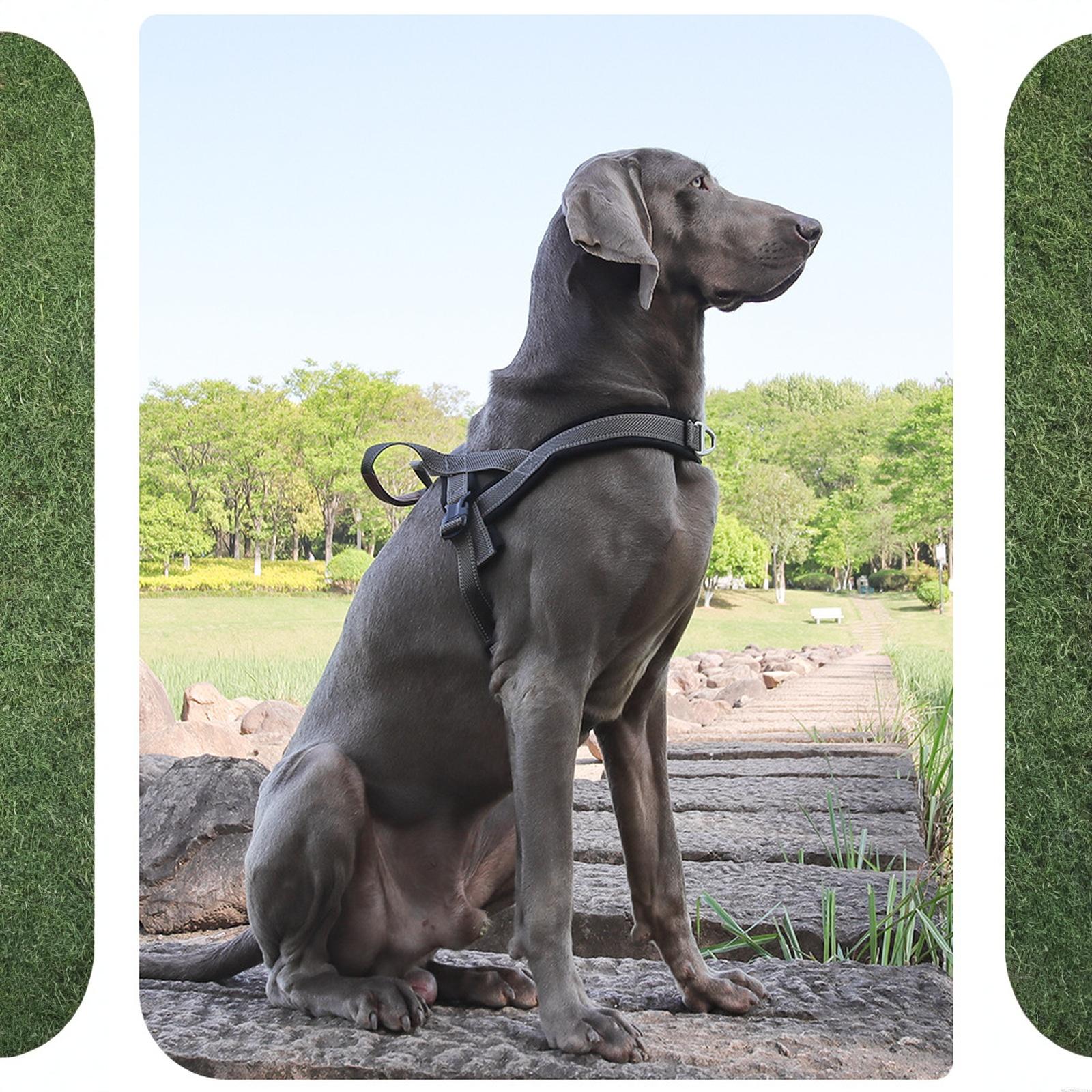 

Quick Fit Dog – No Pull for Training, Everyday Walking, and Easy Control - Adjustable Fit, Reflective, and Padded (Large, Gray) XL