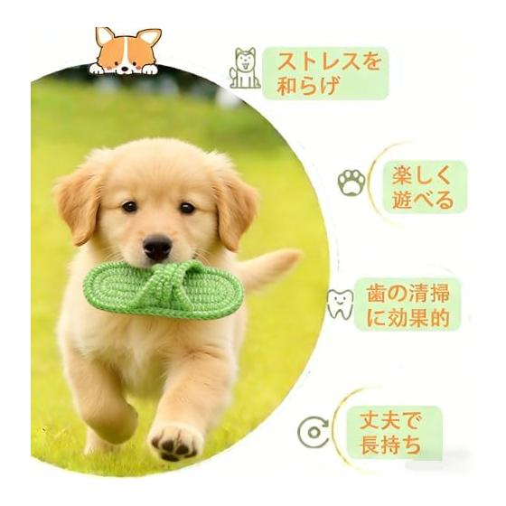 [Popular Carrots & Slippers] Dog Toy Set of 4, Dog Rope Toy, Stress Relief, Teeth Brushing, Dog Toy, Dog Toy, Chew Rope, String Toy for Dogs, Pets,