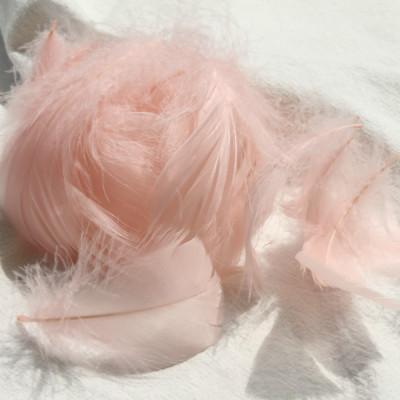 

100pcs 5-8CM Small Fluffy Goose Feathers Dyed Colorful Swan Plume for Diy Carnival Party Decoration Craft Accessories шампанського