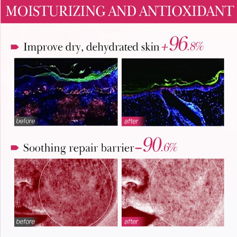 SADOER Sakura Eye Cream Anti Dark Circles Removal Eyes Bags Firming Moisturizing Eye Creams Beauty Eyes Skin Care