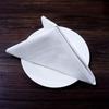 Hotel Napkins & Wiping Cloths