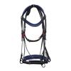 Patent Leather Dressage Bridle, 3 Row Brow-Band, Blue Padding.