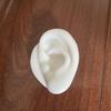 Silicone Ear Model for Training, Display & Ear Studs or Earphones