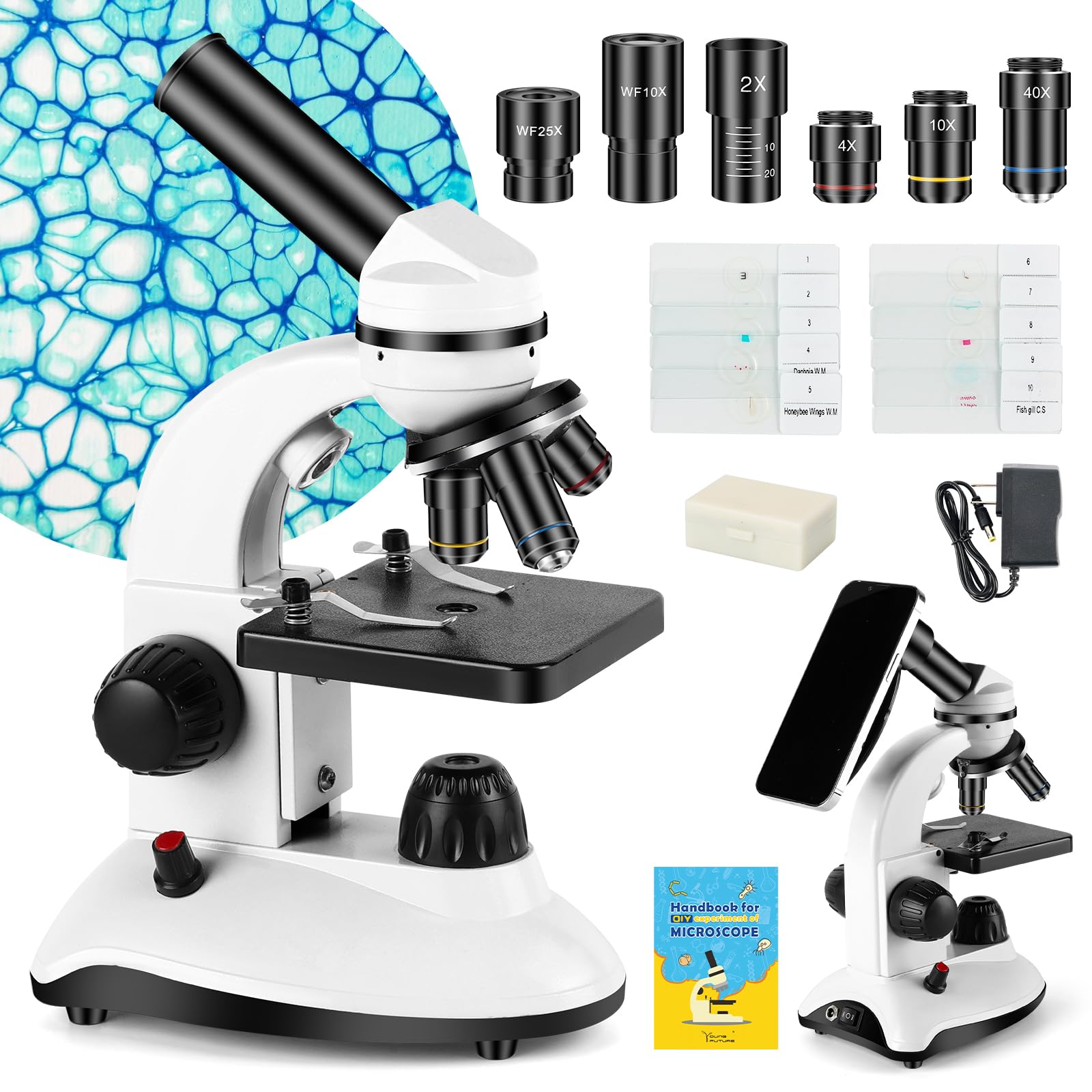 

Microscope for Adults and Kids, Science School Lab Home Education Biology, 40-2000x Magnification, Easy to Use, Phone Holder, 10 Specimen Slides, 100