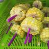 100Pcs Universal BBQ Skewer 18cm Air Fryer Skewers Barbecue Supplies Barbecue Skewers  Commercial