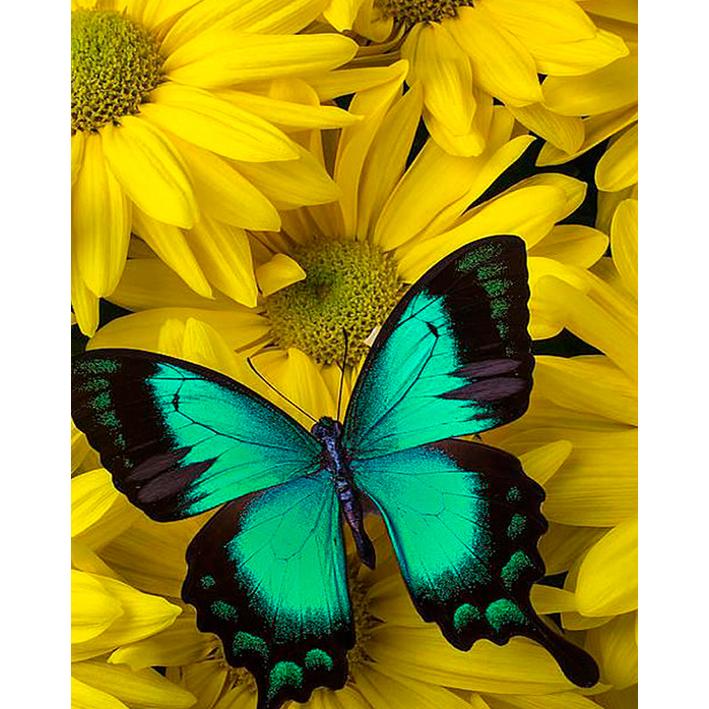 

5D Алмазная картина Полный круглый дрель Вышивка крестом Алмазная вышивка Горный хрусталь Мозаика Подарок Домашний Декор Подарок 30x40CM