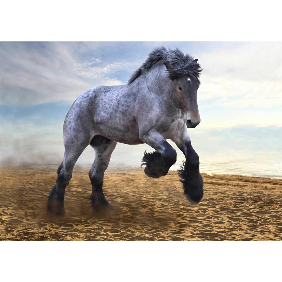 5D DIY Diamond Painting Animal Cross Stitch Kit Full Diamond Embroidery Horse Rhinestone Picture Mosaic Home Decoration Gift