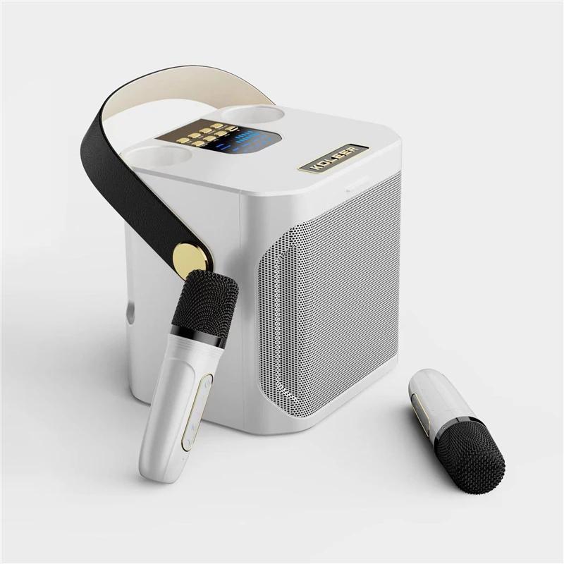 High Power Karaoke Machine Portable Wireless Bluetooth 5.0 Speaker System With Dual Microphone Home TV KTV Set Support TF Card