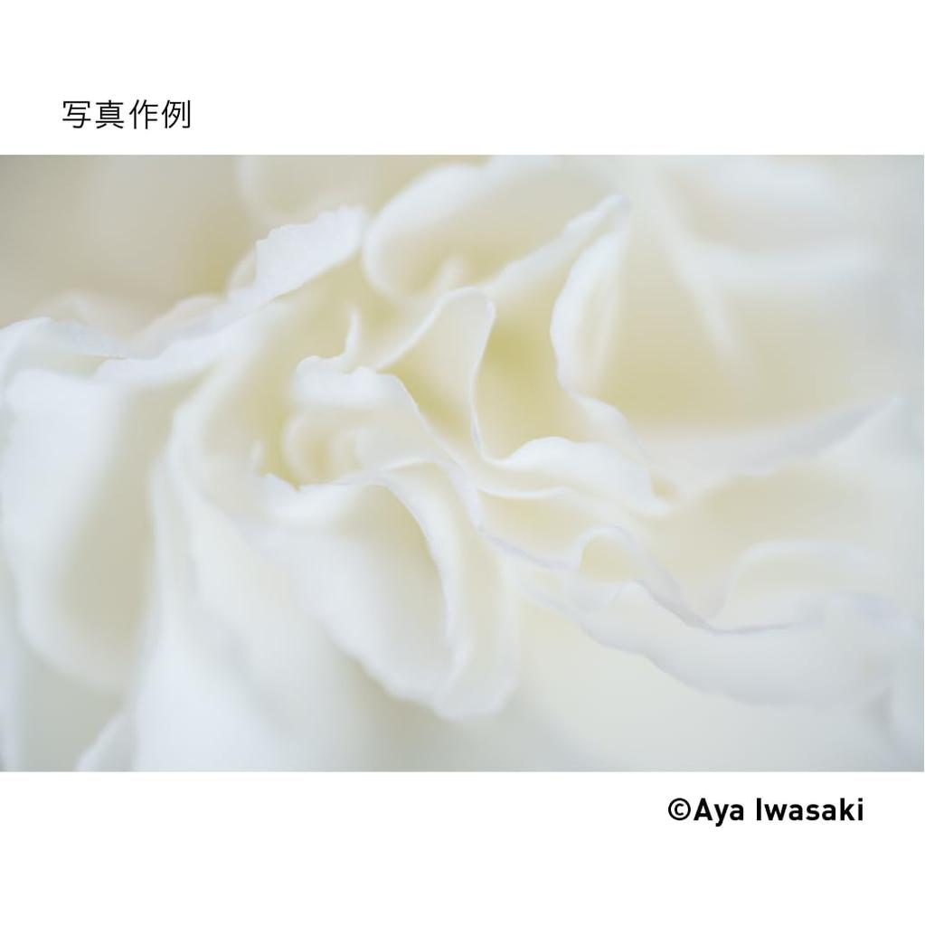 Obiektyw Sigma 105mm DG DN MACRO Mocowanie Leica L Teleobiektyw z pojedynczym ogniskiem Pełnoklatkowy dla bezlusterkowców Art F2.8