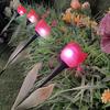 10PCS Outdoor LED Solar Lights Tulip Flower Lamp Landscape Lighting for Courtyard Lawn Waterproof Garden Stake Insert Solar Rose