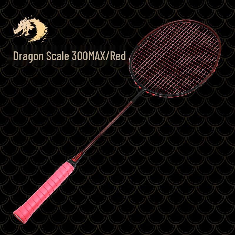 ZhanYu Professional Full Carbon Offensive Badminton Racket