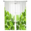 Branch Green Leaves Sheer Curtains for Living Room Transparent Tulle Window Treatments Bedroom Kitchen Home Decor Veil Drapes