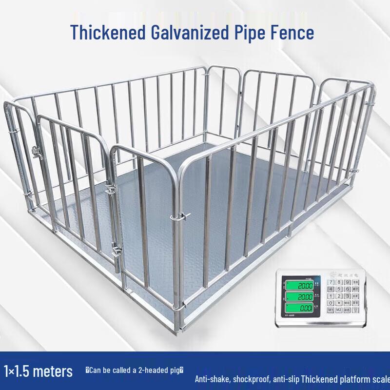 Erbely Wireless Digital Platform Scale with Railing CN plug (adapter included)