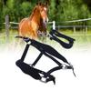 Horse Halter Set Prevent Rubbing Adjustable Horse Training Halter with 2m Horse Leash for Training D
