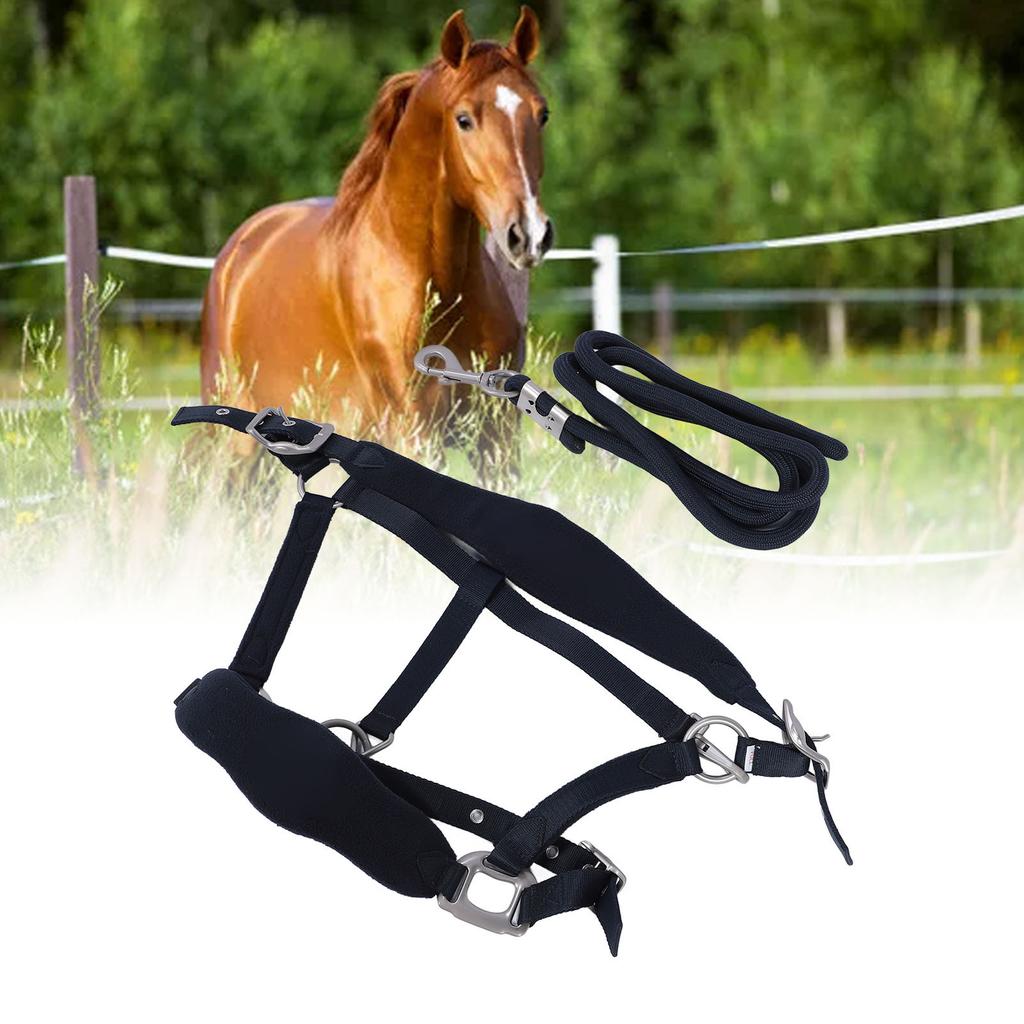 Horse Halter Set Prevent Rubbing Adjustable Horse Training Halter with 2m Horse Leash for Training D