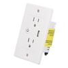 Smart Wall Outlet USB Voice Control Multifunctional WiFi Wall Socket for Home Office  AC