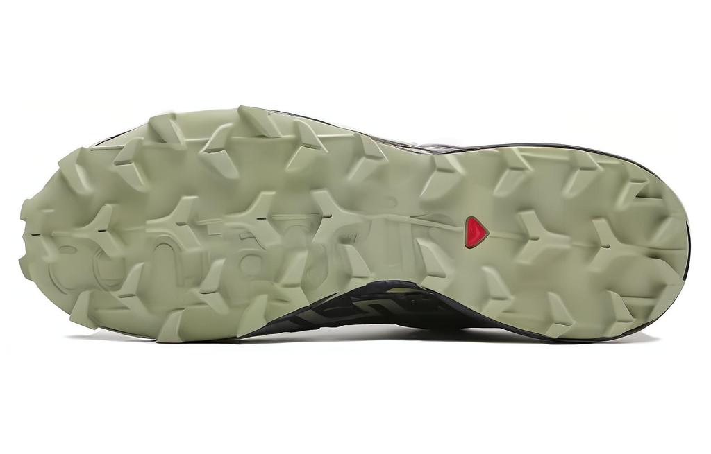 SALOMON Speedcross 6 Gore-Tex Grisaille Carbon Tea