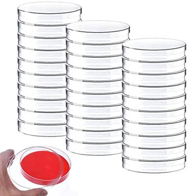 Transparent with Lids Clear Petri Dish Bacteria Culture Dish Sterile Petri Dishes Petri Dishes