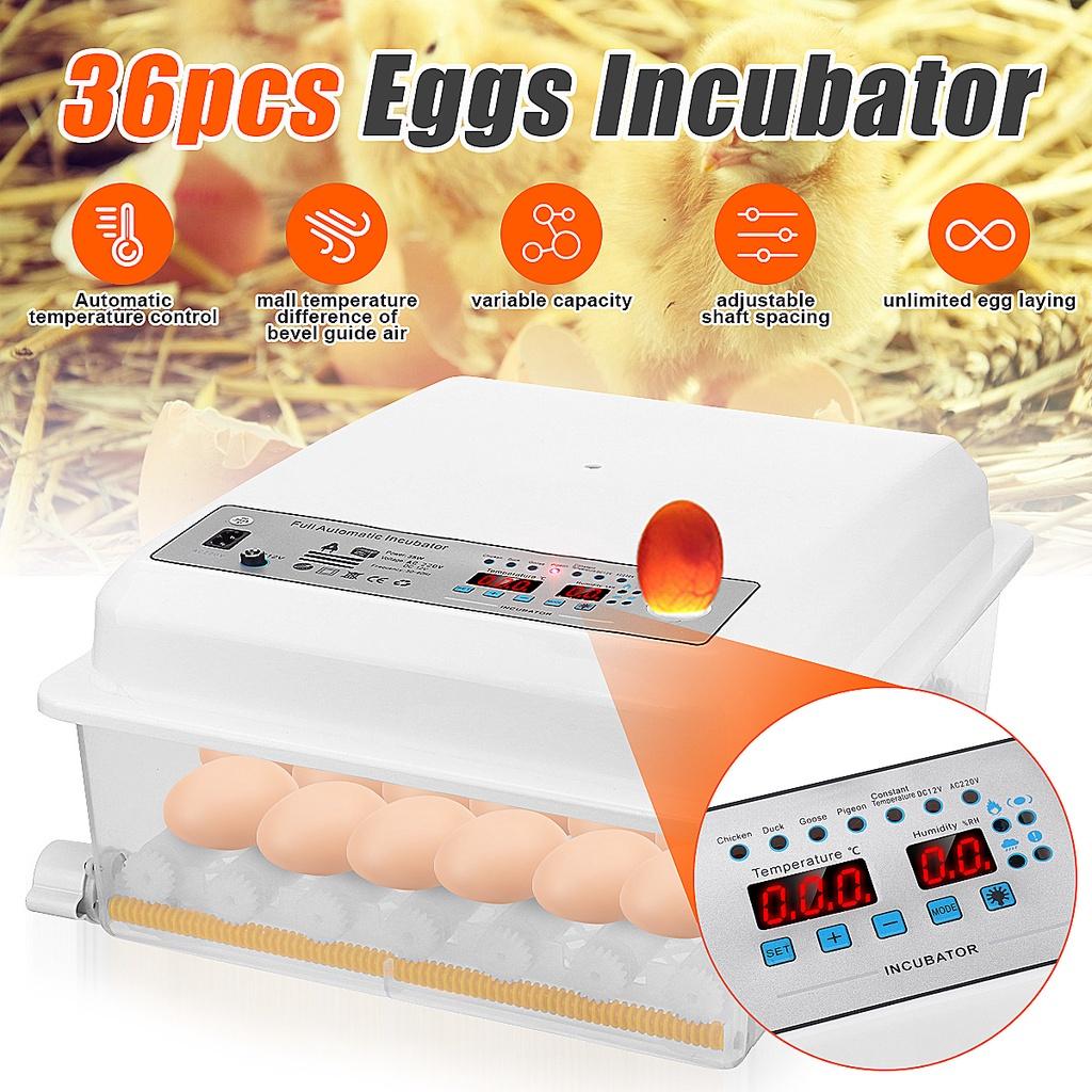 36Eggs Farm Hatchery Incubator Brooder Machine Incubator Egg Hatchers For Chicken Poultry Bird Quail Automatic Egg
