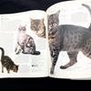[USED] The New Encyclopedia of the Cat