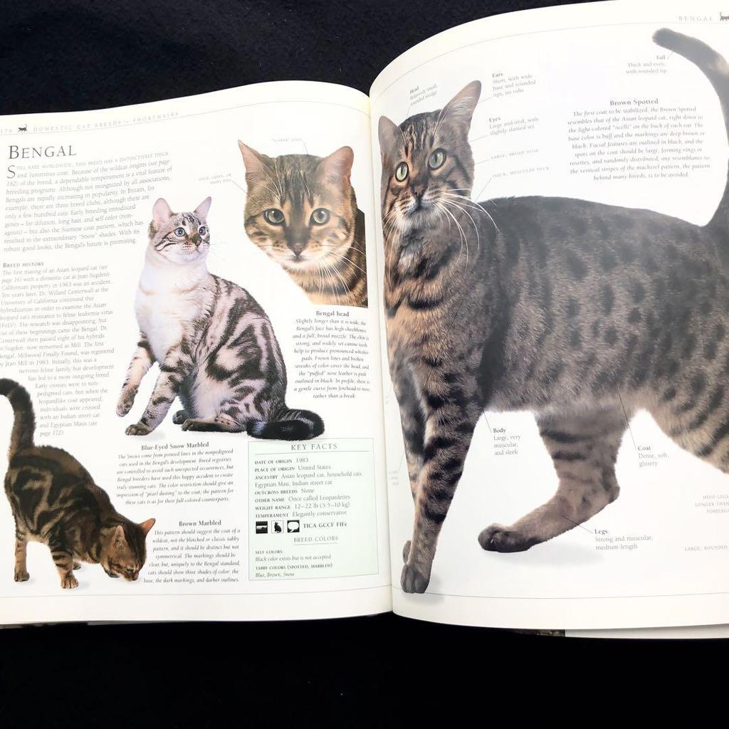[USED] The New Encyclopedia of the Cat