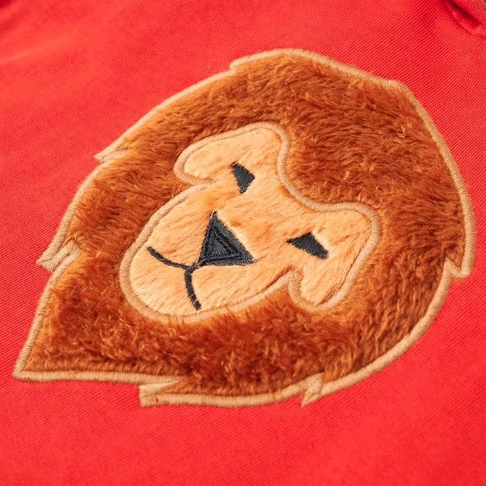 Sweatshirt à capuche pour enfants rouge 92/104/116/128/140