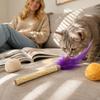 Cat Toy with Silvervine Fruit Feather Teaser Natural Chew Stick Interactive Pet Play Wand for Cats and Kittens