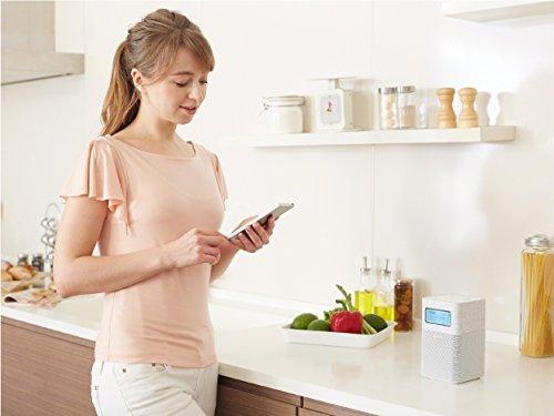 Sony Home Radio SRF-V1BT: FM/AM/Wide FM/Bluetooth Compatible, White SRF-V1BT W