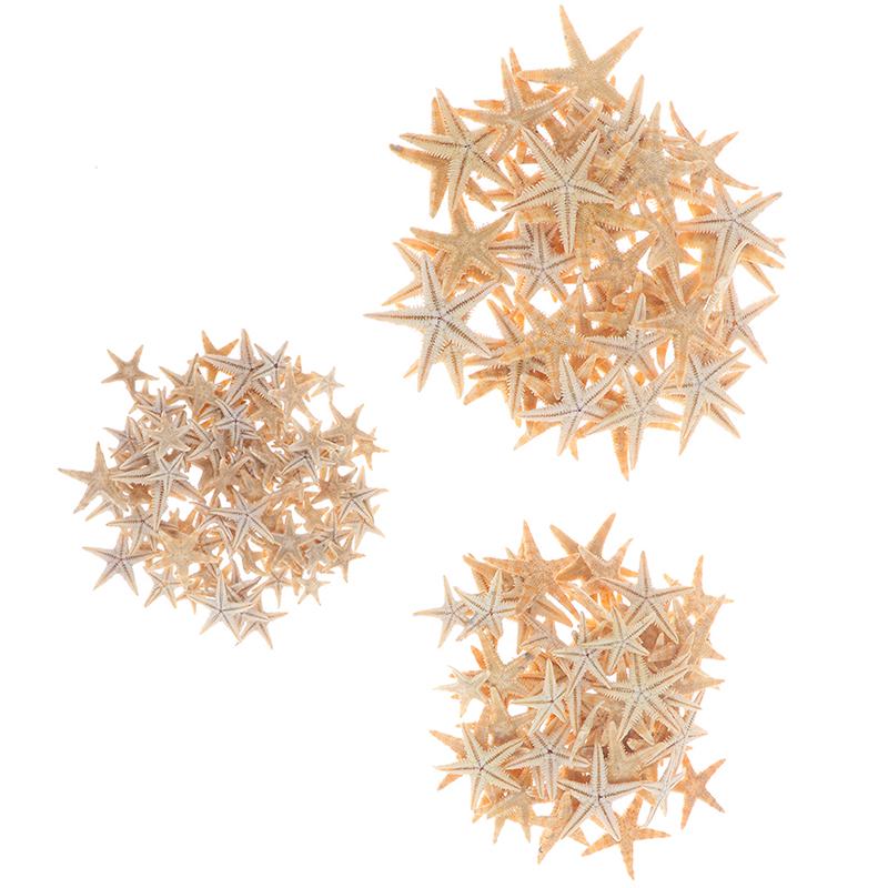 Sea Shells Size:0.5-3Cm 100Pcs Mini Starfish Craft Decoration Natural Sea Stars