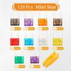 120 Pieces Mini Fuse Kit, Assortment Kit, Mini Blade Fuses for Truck, Motorcycle (2A/3A/5A/7.5A/10A/15A/20A/25A/30A/35A)