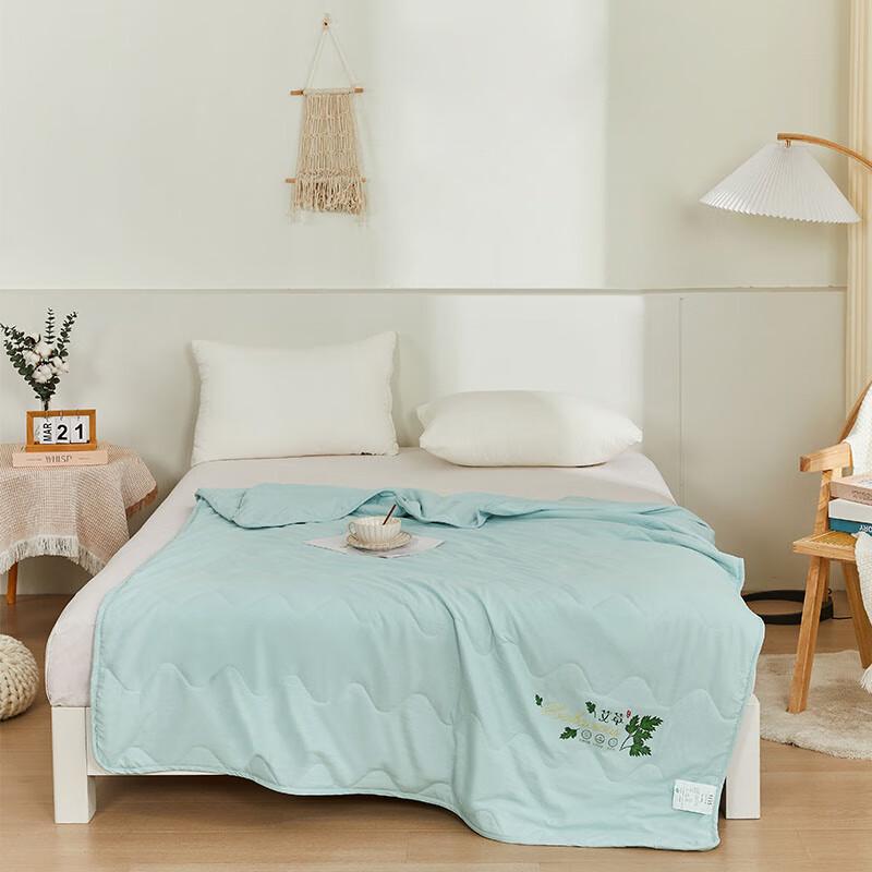 Shanshan Mugwort Healthy Summer Quilt