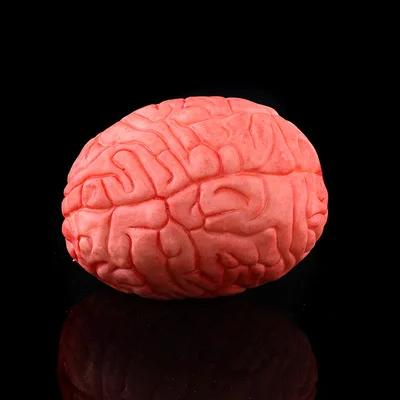 Halloween Haunted House Horror Props Escape Room Decoration Male Female Mannequins with Severed Hands Feet Head Fake Zombie Body