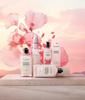 Fleur de Sourisie Sakura Perfumed Body Milk Moisturizing for the Whole Popular for Men and Birthday Gift L'OCCITANE (Cherry Blossom) 250mL, Body,