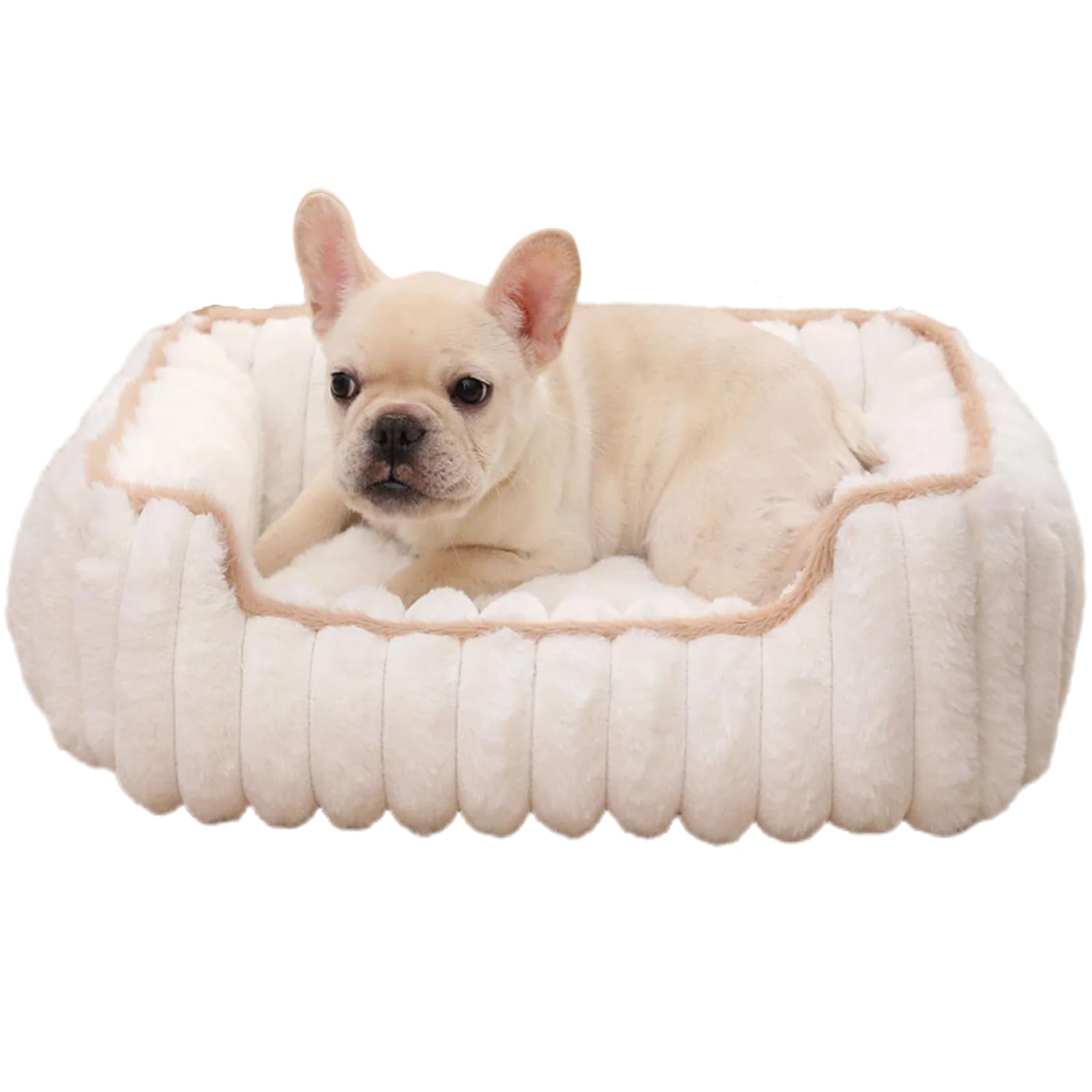 

DICOCO Собака Пушистый Питомец для Собак и Собака Кошка Питомец Звук Легко Подходит для Маленьких и Средних Собак и Кошек Кровать, Круглый год, Кровать, Моющийся, Нескользящий,