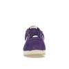 Nike Cortez Court Purple Women Sneakers Sail DZ2795-500