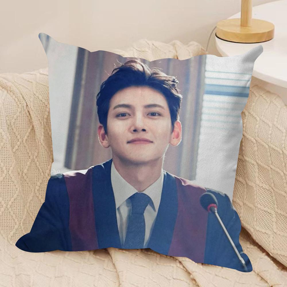 JJi CChang Wook Cushion Cover Silky Short Plush DoubleSided Printed Pillow Case for Sofa All Seasons Home Decor Gift