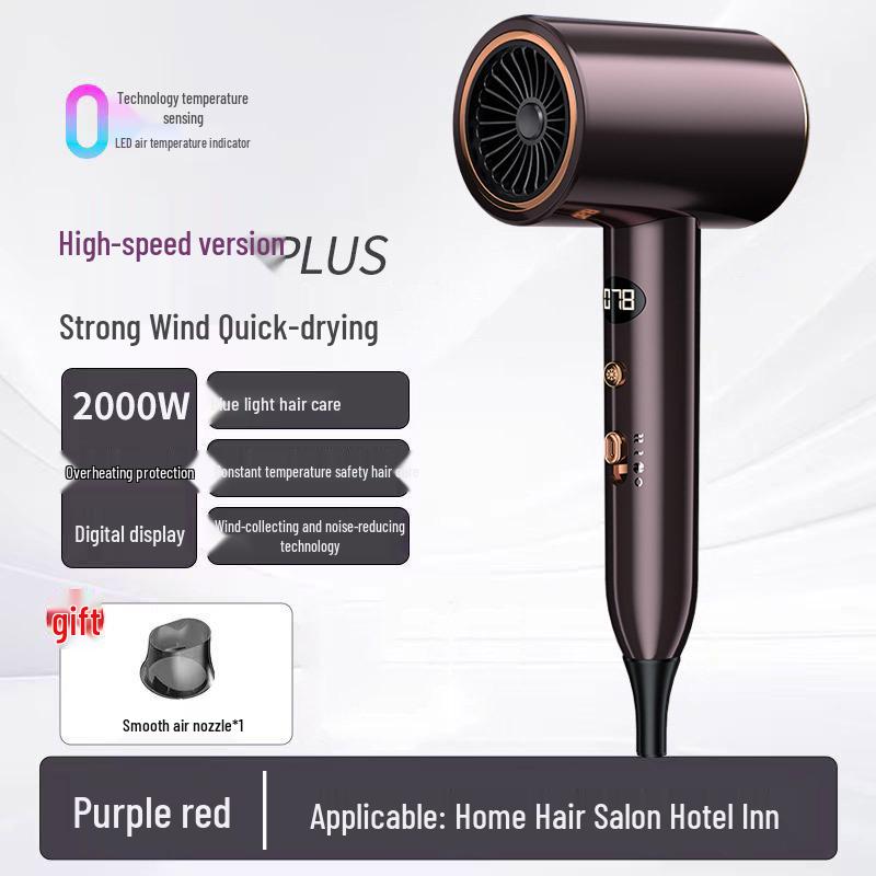Youteng High-Power Dual-Temperature Hair Dryer with Negative Ion Care