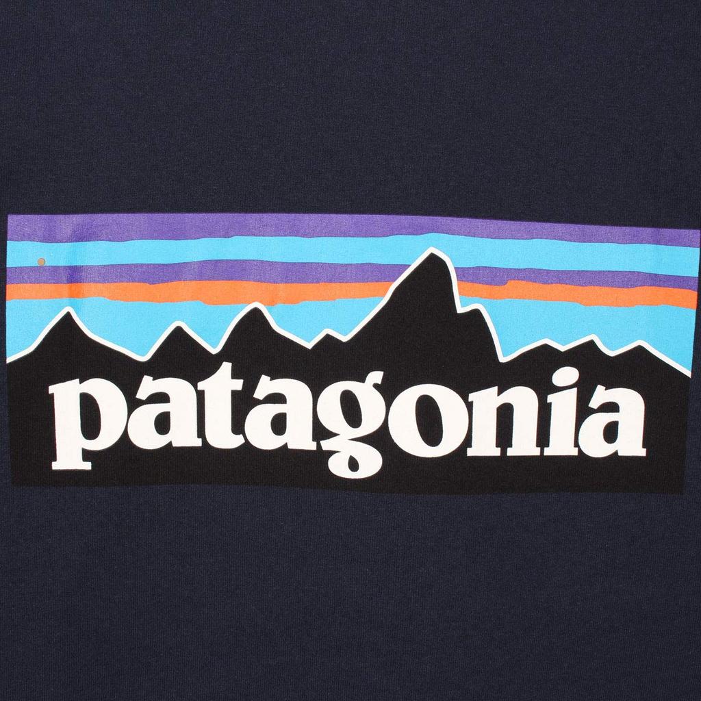 Patagonia Logo Responsibility Short Size S P-6 Tee, Sleeve, Black, (Product Code 38504)