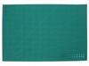 Cutting Mat A1 Green (12)