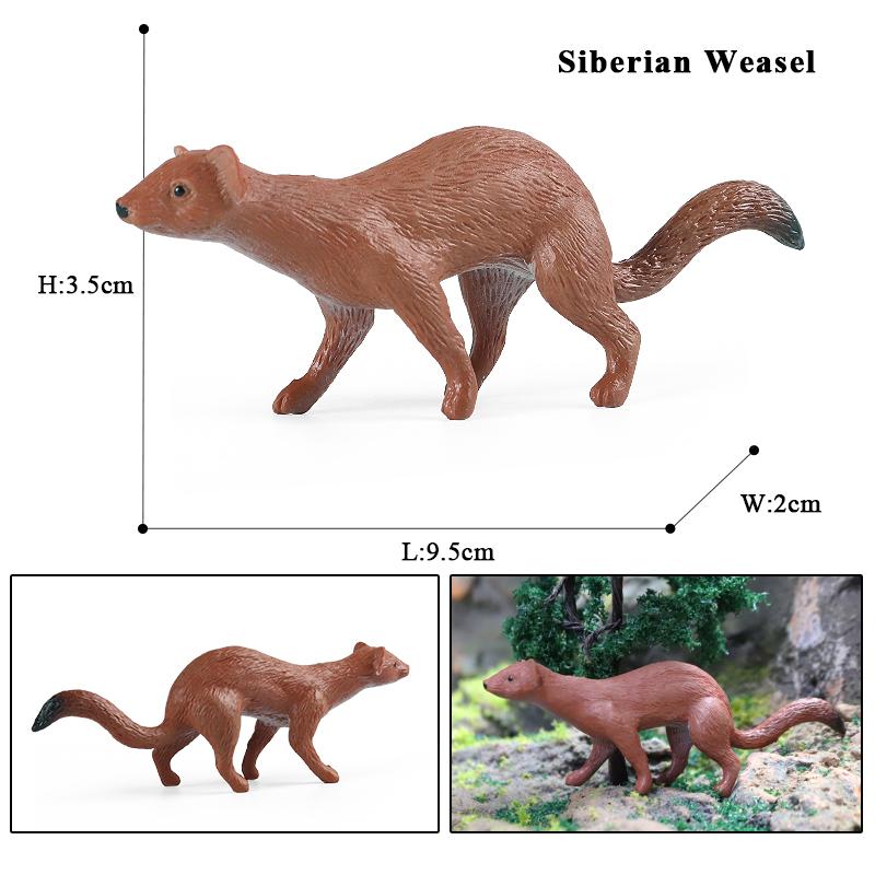 Oenux Wild Beast Animals Small Gray Wolf Maned Wolf Baby Wolves Simulation Model Action Figures Collection PVC Gift Kid Toy Gift