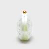 New Acrylic Oval Shell Shoulder Bag for Women Fashionable Chain Crossbody Evening Clutch Purse